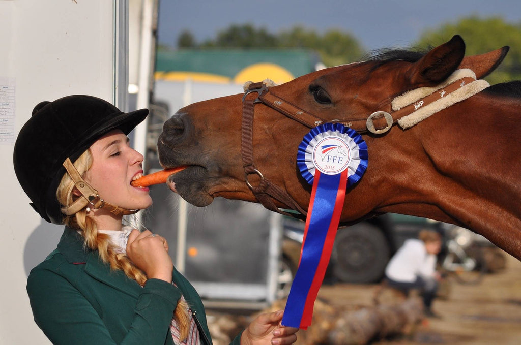 Mental Health & The Equestrian