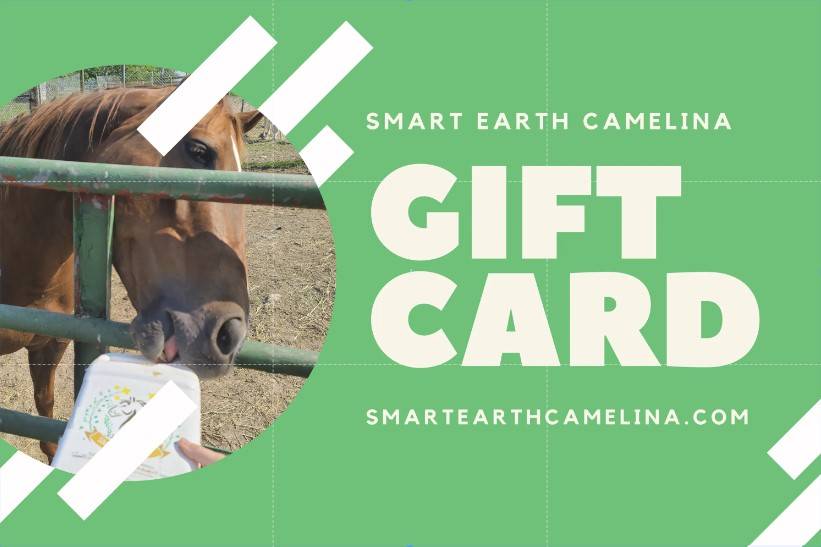 5 Gift Ideas for the Horse Lover in your Life