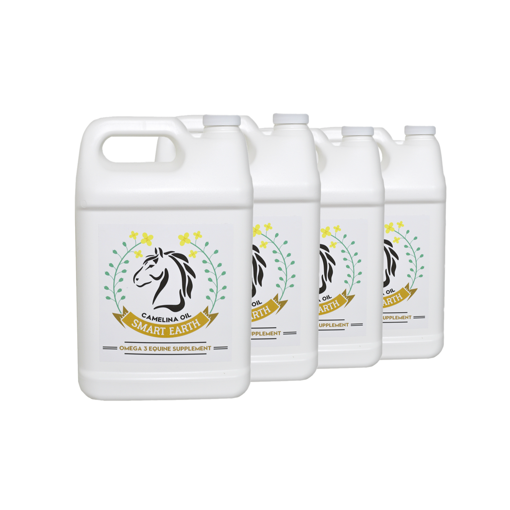 Four white jugs of camelina oil for equine, each with a label featuring a horse and the brand name 'Smart Earth'.

